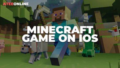 Minecraft Game on ios