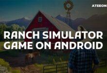 Ranch Simulator