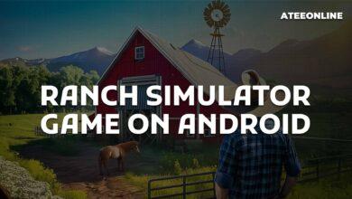 Ranch Simulator