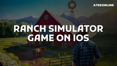 Ranch Simulator